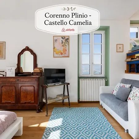A Corenno Plinio - Vista Di * 德尔维奥